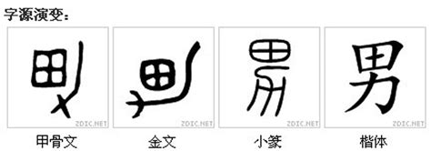 生男 字|生(漢語漢字):字源演變,詳細釋義,古籍釋義,說文解字,說文解字注,。